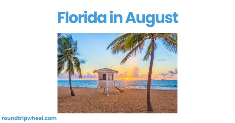 Florida in August: A Tropical Adventure