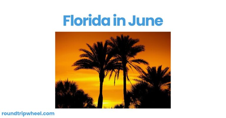 Florida in June: What to Expect for Your Summer Vacation