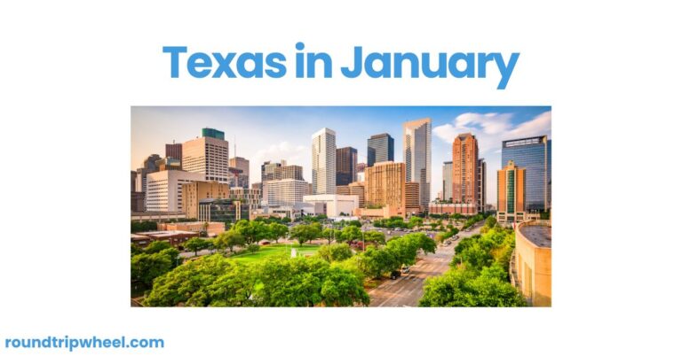 Texas in January: Exploring the Lone Star State in January