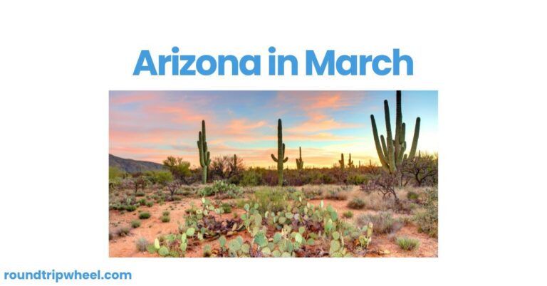 Arizona in March: A Warm Welcome to Spring in the Desert Southwest