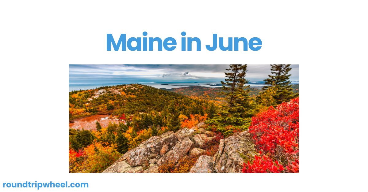 Maine in June