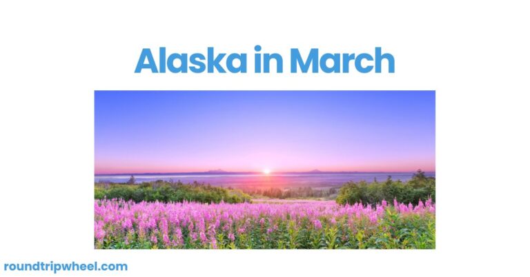 Alaska in March: A Winter Wonderland Awakening