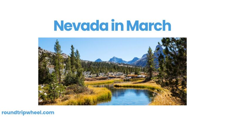 Nevada in March: A Spring Awakening in the Silver State