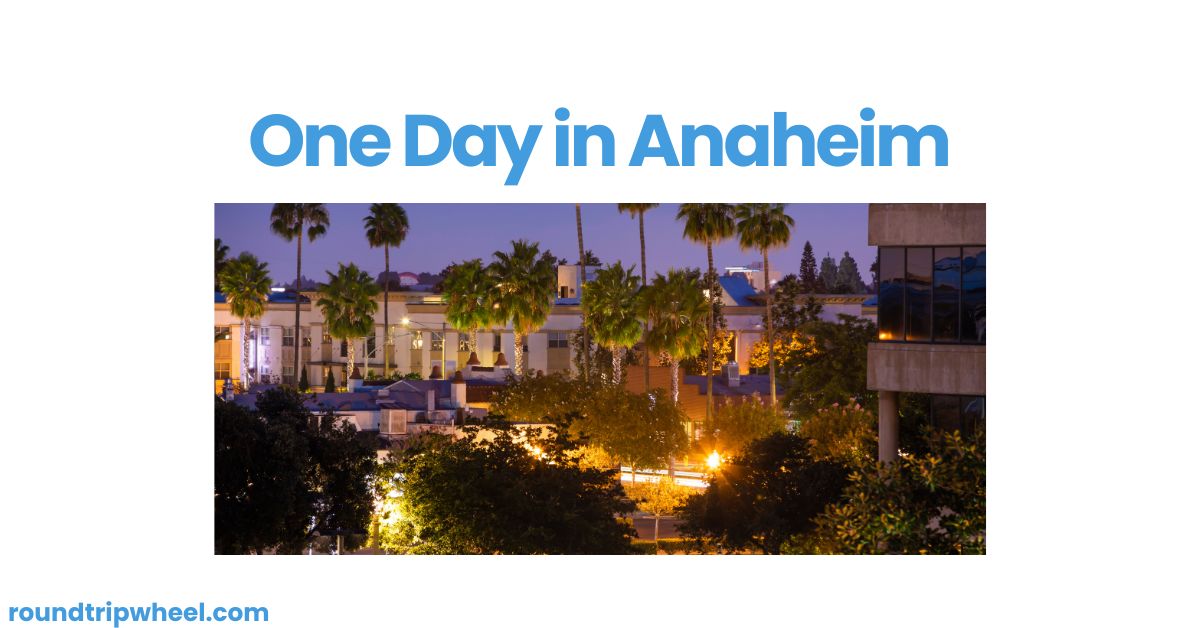 One Day in Anaheim