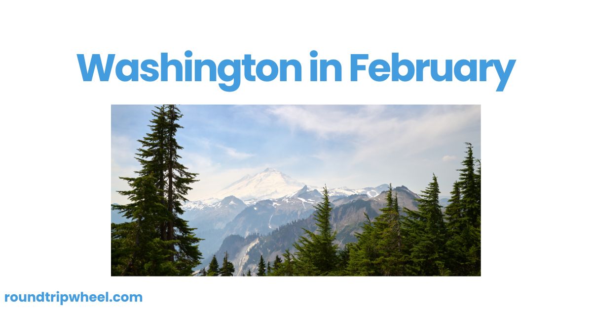 Washington in February