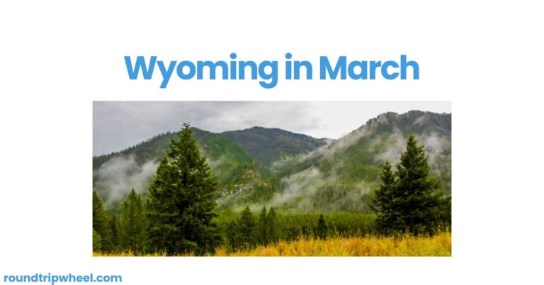 Wyoming in March: A Season of Transition and Adventure